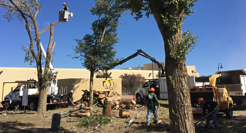 Coates Tree Service, Inc.