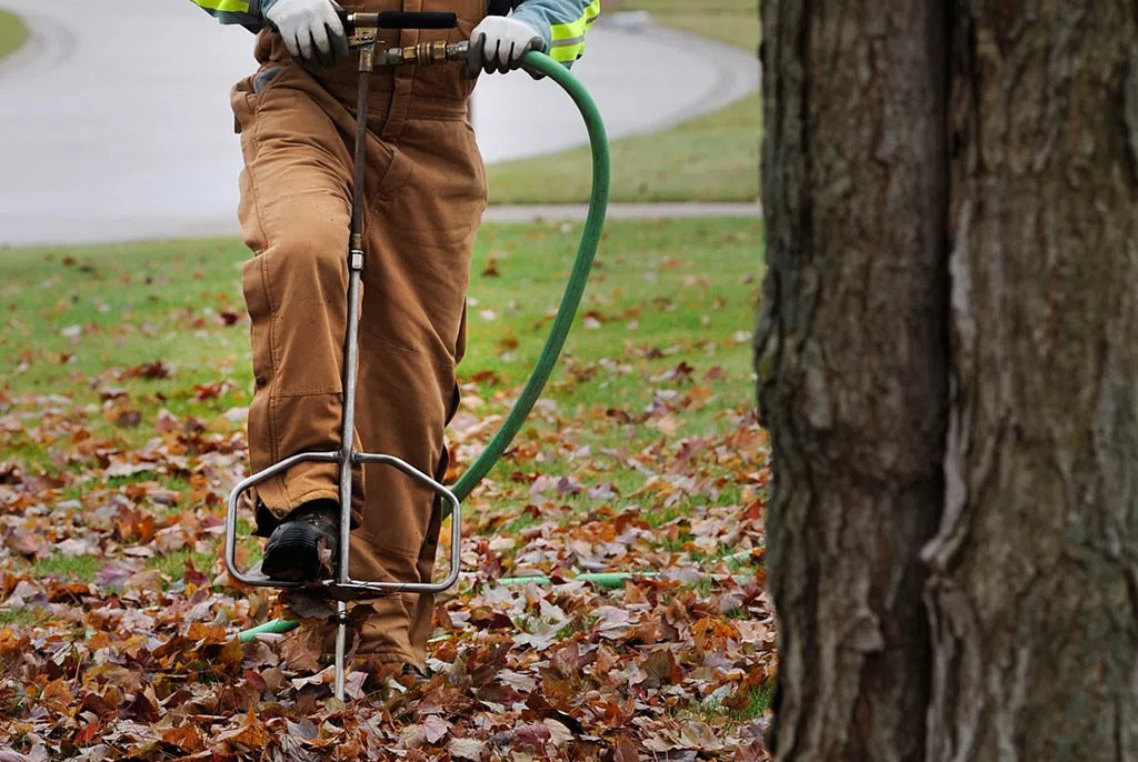 Tree fertilization service