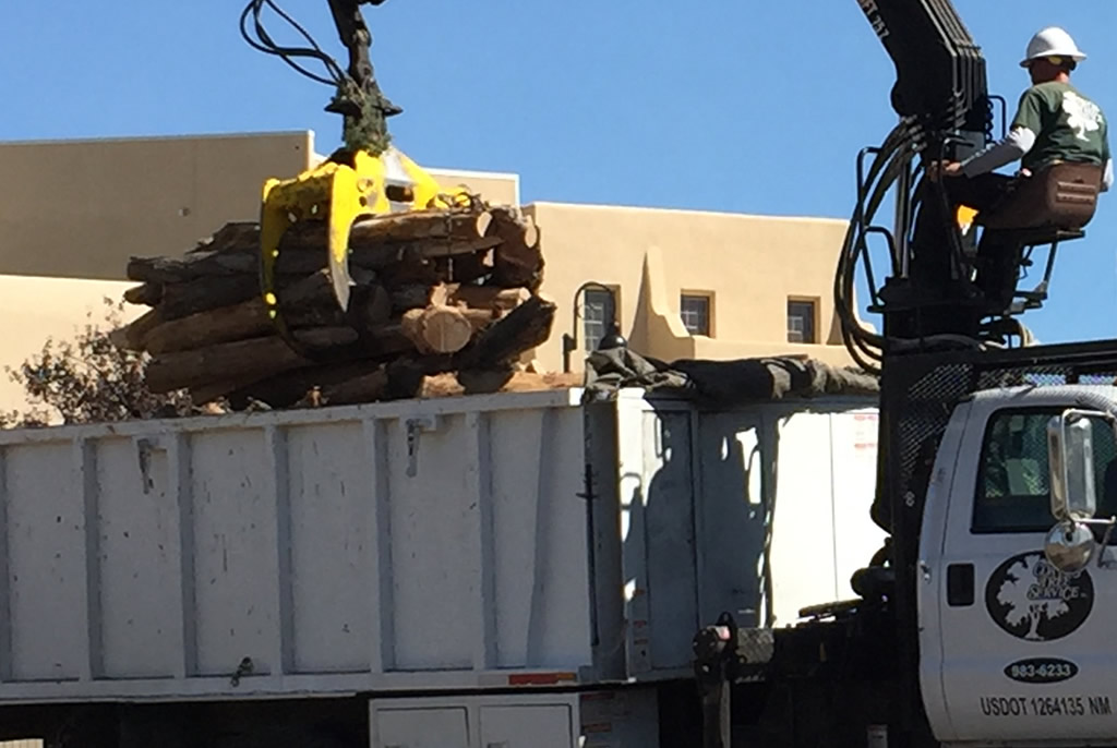 Coates Tree Service gallery 7