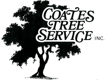 Coates Tree Service - Santa Fe, New Mexico