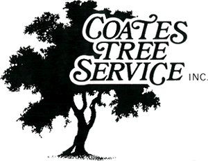 Coates Tree Service - Santa Fe, New Mexico